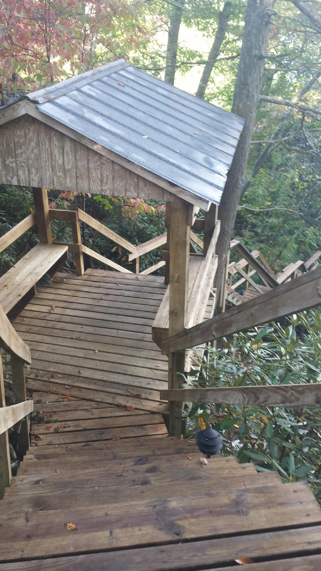 Metal roofed shelter over wooden steps on a wooded walkway — Skylight Repair & Installation work by our crew in Parlier